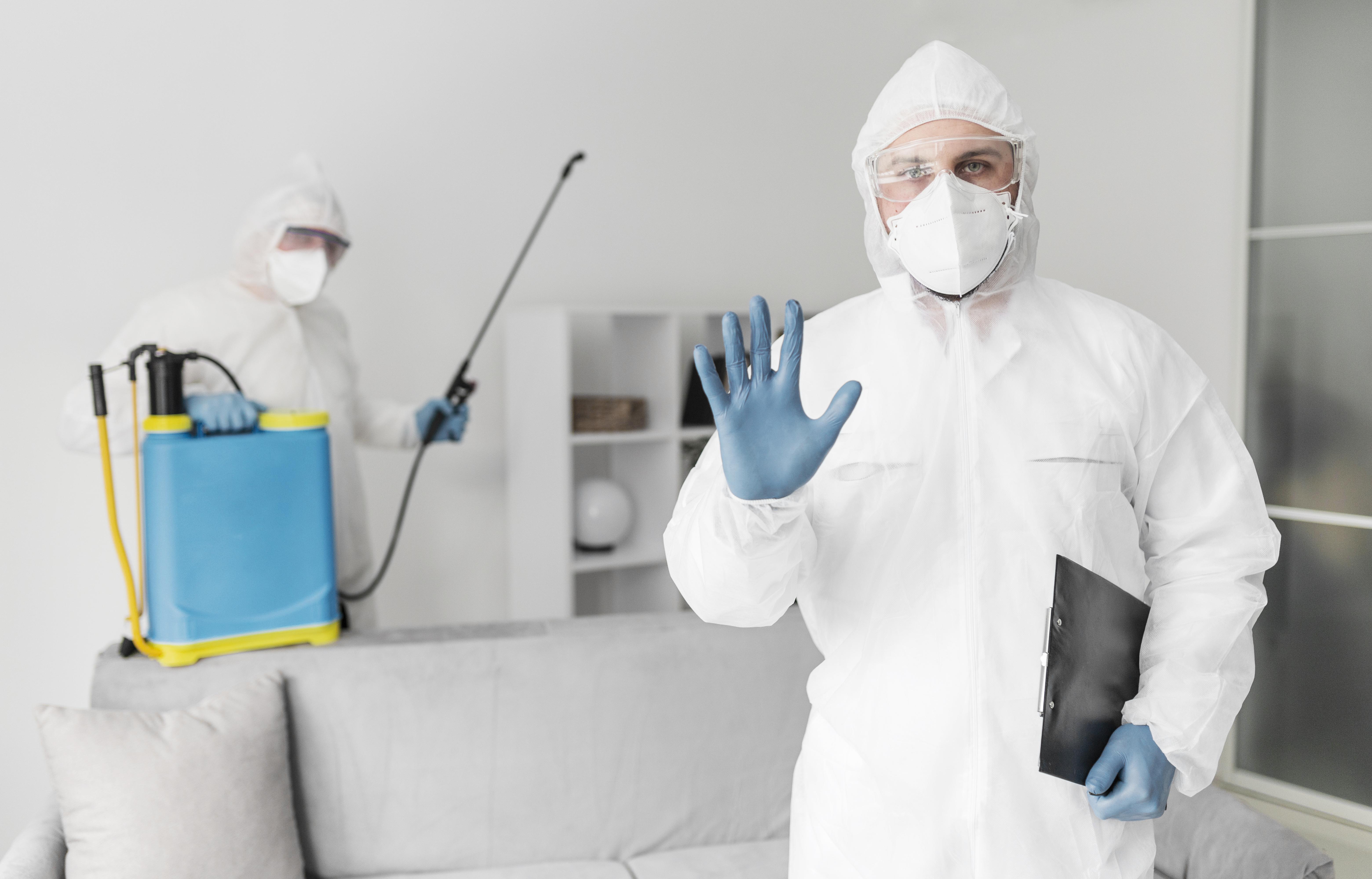 Professional pest audit inspection service