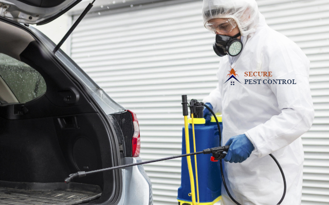 About Secure Pest Control – experienced pest control experts in Tamil Nadu